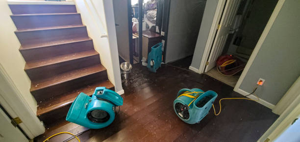 Best Carpet water damage restoration  in Hays, NC