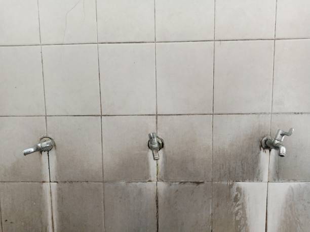 Best Water damage restoration specialists  in Hays, NC