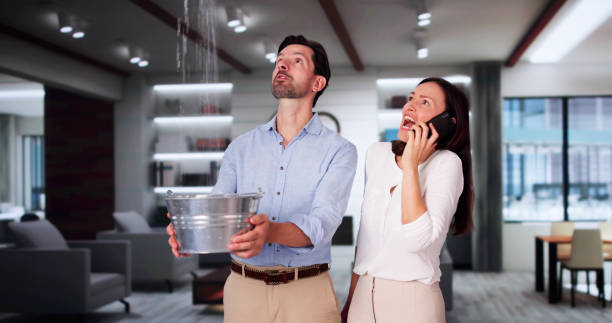 Best Fire Damage Restoration  in Hays, NC